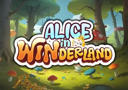 Alice in Winderland icon
